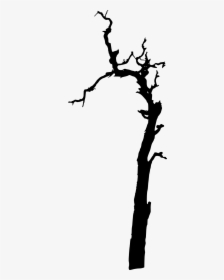 17 Dead Tree Silhouette - Dead Tree Branch Clipart, HD Png Download, Free Download