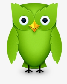 Duolingo Bird, HD Png Download, Free Download