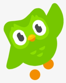 #duo #duolingo #owl #bird #freetoedit - Duolingo Bird Png, Transparent Png, Free Download