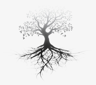 Transparent Tree Of Life, HD Png Download, Free Download