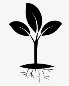 Plant With Roots Clipart Black And White, HD Png Download, Free Download