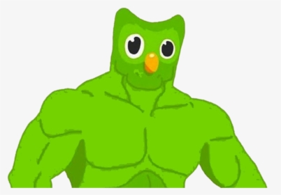 Ricardo Duolingo, HD Png Download, Free Download