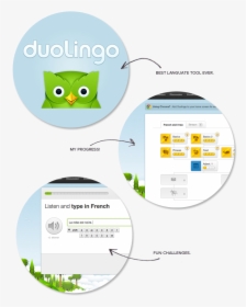 Duolingo, HD Png Download, Free Download