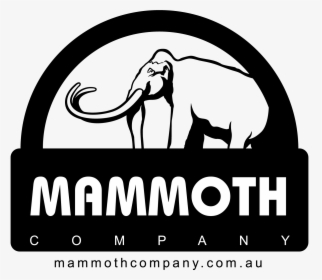 Transparent Mammoth Logo Png - Indian Elephant, Png Download - kindpng