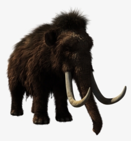 Woolly Mammoth, Animal, Prehistoric, Wildlife, 3d - Woolly Mammoth, HD Png Download, Free Download