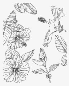 Download Transparent Tumblr Png Coloring Pages Coloring Page Procreate Free Png Download Kindpng