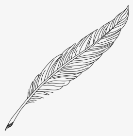 Quill Pen Drawing At Getdrawings - Clipart Feather Pen Drawing, HD Png Download, Free Download