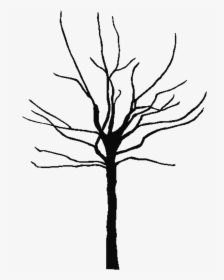 Free Bare Tree, Download Free Clip Art, Free Clip Art - Tree Trunk Silhouette Png, Transparent Png, Free Download