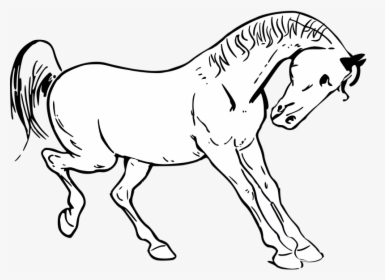 Transparent Horse Head Silhouette Png - Horse Kicking Coloring Pages, Png Download, Free Download