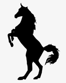 Silhouette, Horse, Animal, Animal Mane, Outline - White Horse Clipart Png, Transparent Png, Free Download