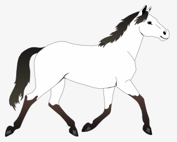 Horse Black White Line Art Coloring Sheet Colouring - Horse White And Black, HD Png Download, Free Download