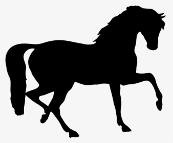 Image Files Horse Silhouette Clipart - Horse Silhouette Clip Art, HD Png Download, Free Download