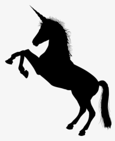 Transparent Head Silhouette Png - Shadow Of A Unicorn, Png Download, Free Download