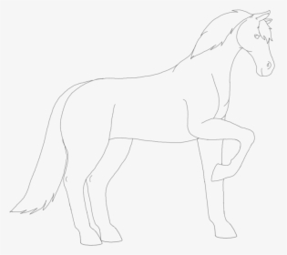 Wikihow Drawing Horse - Line Art, HD Png Download, Free Download