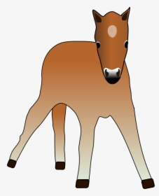 Horse Clipart Free Graphics Of Horses And Ponies - Cliparts Foal, HD Png Download, Free Download