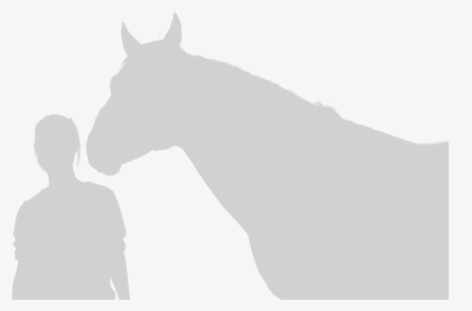 Horse Outline - Stallion, HD Png Download, Free Download