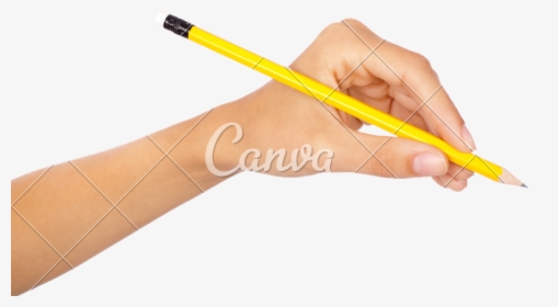Pencil,writing Instrument Pen,writing Implement,drawing - Hand Holding Pencil Transparent Background, HD Png Download, Free Download