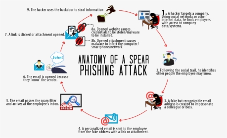 Phishing Spear Phishing Cycle Diagram - Phishing Diagram, HD Png Download, Free Download
