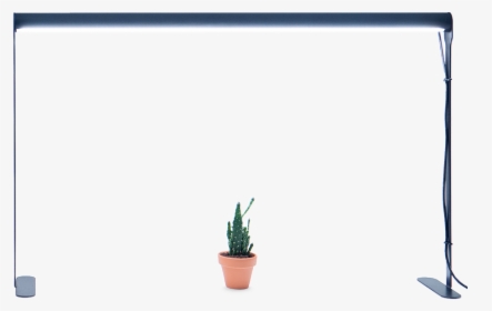 Transparent Table Plant Png - Flowerpot, Png Download, Free Download