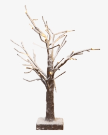 Table Decoration Tobby Tree - Houseplant, HD Png Download, Free Download