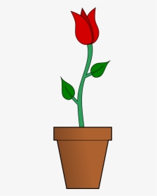 Flowers For Flower Vase On Table Clipart - Flower In A Vase Cartoon, HD Png Download, Free Download