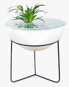 Everything Table-0 - End Table, HD Png Download, Free Download