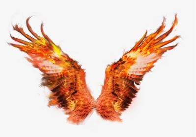 #wings #wing #fire #flame #owl #freetoedit - Transparent Fire Wings Png, Png Download, Free Download