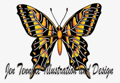 Butterfly Illustration Art In Colored Pencil - Brush-footed Butterfly, HD Png Download, Free Download