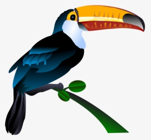 Toucan Clipart Png, Transparent Png, Free Download