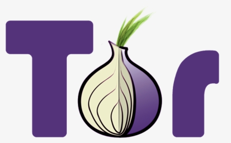 Tor Onion, HD Png Download, Free Download