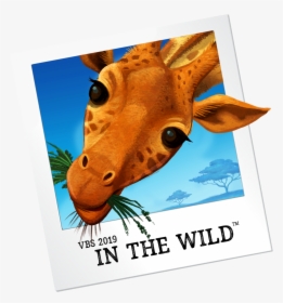 Vbs In The Wild, HD Png Download, Free Download