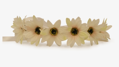 White Flower Crown Png - Flower Crown Transparent Brown, Png Download, Free Download