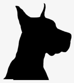 Boxer Dog Head Png File - Great Dane, Transparent Png, Free Download