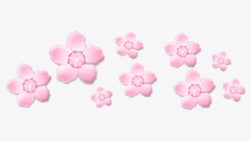 Aesthetic Flower Png Images Free Transparent Aesthetic Flower Download Kindpng