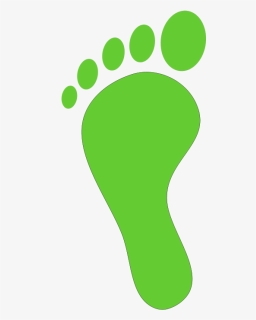 Baby Feet Clip Art - Carbon Footprint Vector, HD Png Download, Free Download