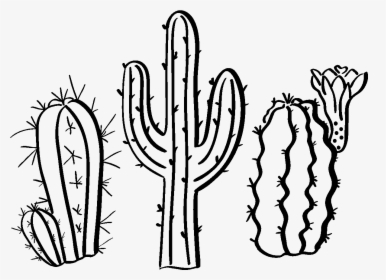 Sticker Boheme 3 Cactus Du Desert Ambiance Sticker - Cactus In Desert Drawing, HD Png Download, Free Download