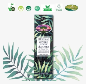 Transparent Jungle Plants Png - Cosmetics, Png Download, Free Download