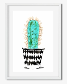 Cactus, HD Png Download, Free Download