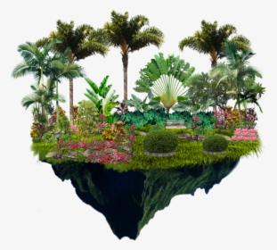 #botanicalgarden #garden #tropical #jungle #palmtrees - Floating Hill Png, Transparent Png, Free Download