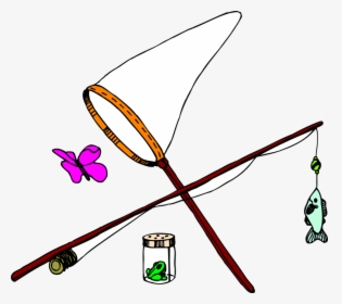Butterfly, Fish, Net, Insect, Fishing, Jar, Pole - Butterfly Fishing, HD Png Download, Free Download