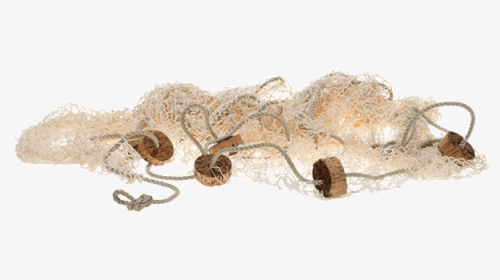 Mouse, HD Png Download, Free Download
