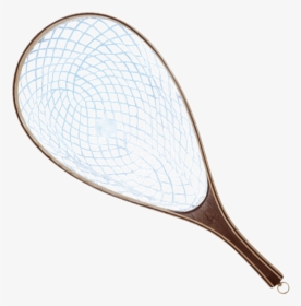 Jacklin Medium Aquafade Awaw - Tennis Racket, HD Png Download, Free Download