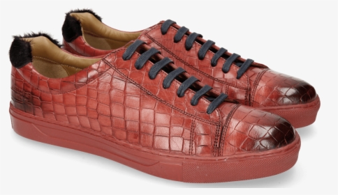 Skate Shoe, HD Png Download, Free Download