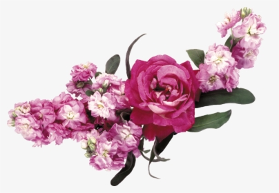 Transparent Flowercrown Png - Flower Bed Png Digital, Png Download, Free Download