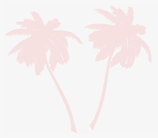 Transparent Palm Vector Png - White Palm Trees Vector Png, Png Download, Free Download