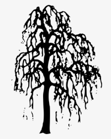 Nature Clipart Willow Tree Clipart Gallery Free Clipart - Willow Tree Silhouette Transparent, HD Png Download, Free Download