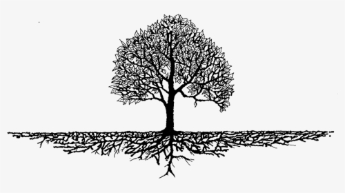 Roots Tree Free On - Transparent Tree With Roots, HD Png Download, Free Download