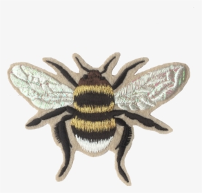Gold Iridescent Bee Embroidered Patch - Embroidered Bee Transparent, HD Png Download, Free Download