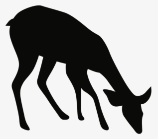 Noun Deer 671375 - Fawn Deer Silhouette Png, Transparent Png, Free Download