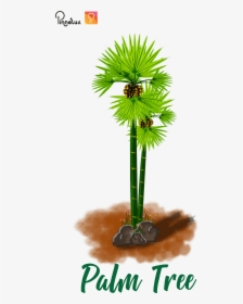 Khmer Palm Tree Khmer Palm Tree - Palm Tree Khmer Sign, HD Png Download, Free Download